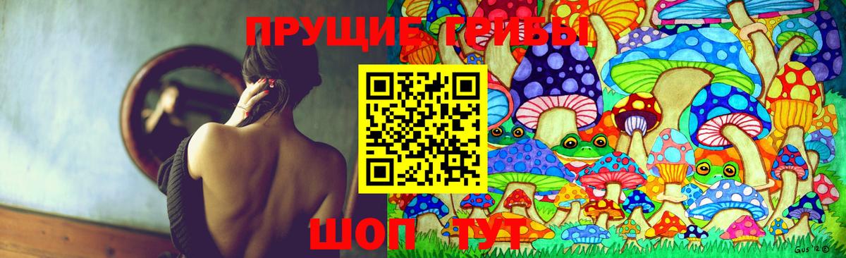 Псилоцибиновые грибы Cubensis  Вход с VPN  Анжеро-Судженск 